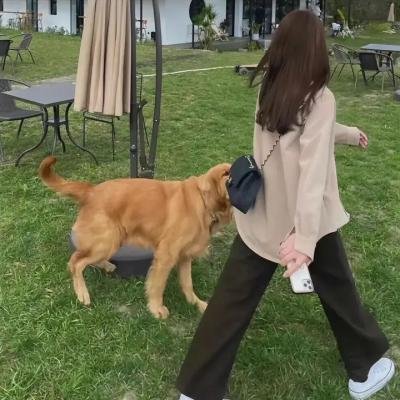 鲨人树儿