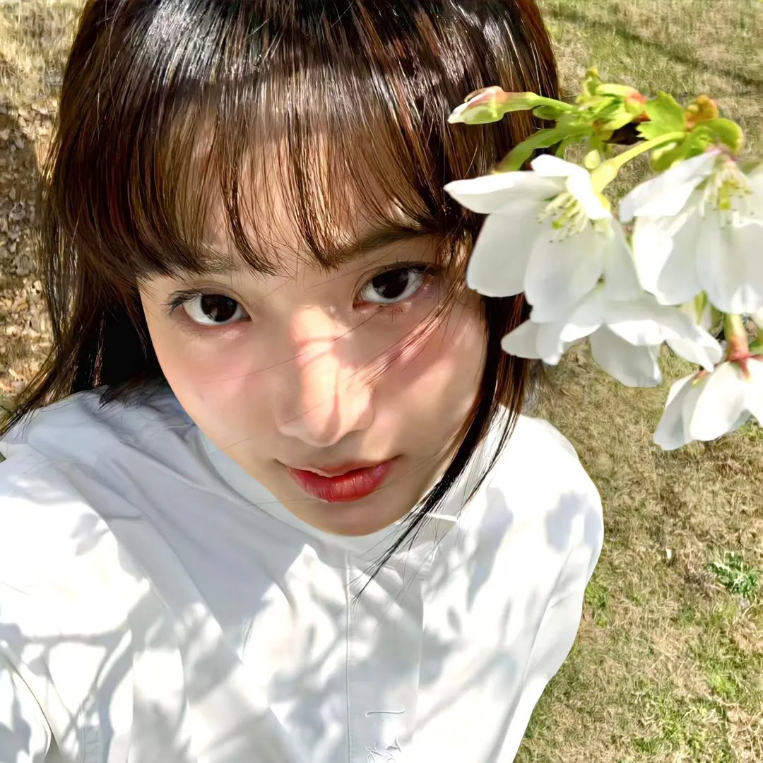 达拉斯之王